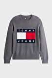Tommy Jeans Erkek Kazak DM0DM22105 PU2