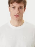 Calvin Klein LV04LF811GYAF 20S Eu Wholesale Sportswear Grap Erkek Tişört