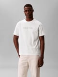 Calvin Klein LV04LF813GYAF 20S Eu Wholesale Sportswear Grap Erkek Tişört
