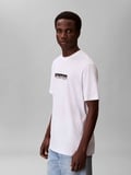 Calvin Klein LV04LF812GYAF 20S Eu Wholesale Sportswear Grap Erkek Tişört