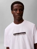 Calvin Klein LV04LF812GYAF 20S Eu Wholesale Sportswear Grap Erkek Tişört