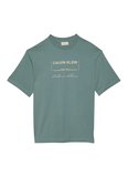 Calvin Klein Jeans Gri Erkek Standart Baskılı T-Shirt LV04RE827G5K3 Gri T-Shirt
