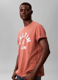 Calvin Klein Jeans Bisiklet Yaka Baskılı Kiremit Erkek T-Shirt LV04RE810GRMA Kiremit T-Shirt