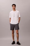 Calvin Klein Erkek Tişört-LVGMS6K101