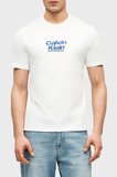 Calvin Klein Erkek T Shirt LV14RF803G YAF