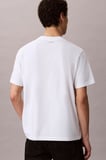 Calvin Klein Erkek Tişört-LV04RG815G