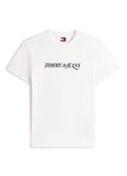 Tommy Jeans Ekru Erkek Regular Fit Baskılı T-Shirt DM0DM22548YBL