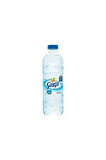 0.5 Lt Su X 48 Adet