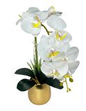Yapay Çiçek Beyaz Islak Orkide Gold Metal Saksıda Seramik Saksıda Orkide 60cm