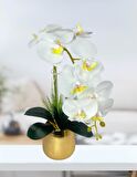 Yapay Çiçek Beyaz Islak Orkide Gold Metal Saksıda Seramik Saksıda Orkide 60cm