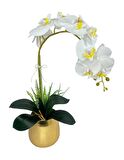 Yapay Çiçek Beyaz Islak Orkide Gold Metal Saksıda Seramik Saksıda Orkide 60cm