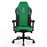 Cybeart Harry Potter Series Slytherin Edition PU Deri Bel Destekli 4D Hafızalı Yastık Oyuncu Koltuğu