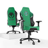 Cybeart Harry Potter Series Slytherin Edition PU Deri Bel Destekli 4D Hafızalı Yastık Oyuncu Koltuğu