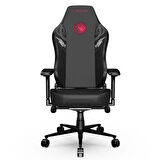 Cybeart Game of Thrones Series House Targaryen Edition PU Deri Bel Destekli 4D Hafızalı Yastık Oyuncu Koltuğu