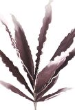 Yapay Çiçek Latex Çiçek Köpük Çiçek Sanseverya Bordo