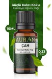 Çam Esansiyel Uçucu Koku Yağı Ortam Kokusu Doğal Yağ Sihirli Küre Hobi Esansı 10ml