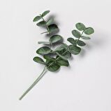 Yapay Çiçek Okaliptus Tek Dal 25cm Yeşil Aradal Garnitür Eucalyptus