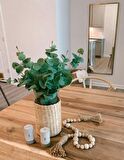 Yapay Çiçek Okaliptus Tek Dal 25cm Yeşil Aradal Garnitür Eucalyptus