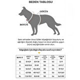 Hesperus Kendinden Gezdirmeli Çok Yönlü Uzatılabilir Köpek Göğüs Tasması (Yeni Nesil) MEDİUM 