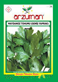 Maydanoz Tohumu Geniş Yaprak(25gr)