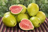 3 Yaşında Tüplü Fidan Guava Fidanı