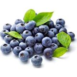 2 Adet Tüplü Yaban Mersini(likapa,blueberry,maviyemiş)  Fidanı