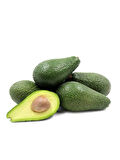 Avokado Fidanı PİNKERTON, 50-60 cm, Tüplü