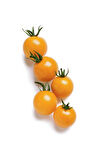 HİBRİT Cherry Domates Fidesi Turuncu 5 Adet