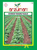 Kıvırcık Marul Tohumu(10 Gr)
