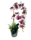 Yapay Çiçek 2li Benekli Fuşya Islak Orkide Seramik Saksıda Orkide 60cm