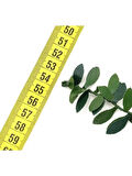 SermetSüsdünyası  7 Metre Telli Taç Sarmaşık Minik Yaprak ( 1 cm ) Şerit Yapay Çiçek Doğalgaz Borusu Süsü Sarmaşık