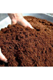 Aromatik Kekik Ekim Seti 25 Adet Tohum Saksı Toprak Gülhatmi Dağ Kekiği