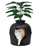 Dekoratif Kedi Tuvaleti & Evi