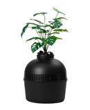 Dekoratif Kedi Tuvaleti & Evi