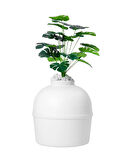 Dekoratif Kedi Tuvaleti & Evi