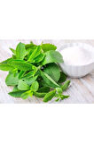 Süper Paket 100 Adet Tohum Stevia Tohumu Şeker Otu Tohumu Şekerotu Tohumu