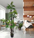 Yapay Ağaç Palmiye Fanpalm 3Katlı 24Yaprak Siyah Plastik Saksıda 165*65cm