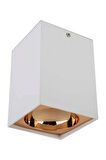CT-5420 Bergama Sıva Üstü Dekoratif Armatür Beyaz-Gold GU10