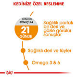 Royal Canin Hair & Skin 2 kg Yetişkin Kedi Maması