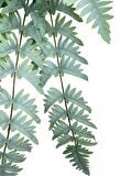 Yapay Çiçek Pastel Cycas Aşk Merdiveni 80cm Eğrelti Otu Sıkas Bitkisi 12 Yaprak 40*80cm Yapay Bitki
