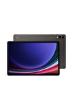 Samsung Galaxy Tab S9 12 GB RAM 256 GB Gray