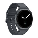 Samsung Galaxy Watch8 Small Koyu Gri SM-L320NDAATUR