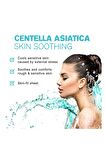 Tonymoly Yüz Maskesi Master LAB Yatıştırıcı Centella Asiatica Cilt Bakımı 19gr