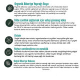 Rosemary & Ectoin Youth Cream- Biberiye & Ektoin Özlü Yaşlanma Karşıtı Nemlendirici Yüz Kremi