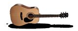 AD810E-OPW Elektro Akustik Gitar (Kılıflı)