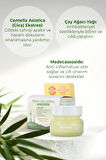 Fresh Cica Cream Akne Karşıtı Sebum Dengeleyici Nemlendirici Yüz Kremi Kore 60ml