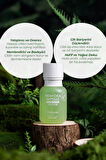 Fresh Cica Ampoule Yağlı Ve Hassas Cilt Sebum Dengeleyici Ampul Çay Ağacı Yağı Kore 55ml
