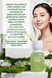 Fresh Cica Ampoule Yağlı Ve Hassas Cilt Sebum Dengeleyici Ampul Çay Ağacı Yağı Kore 55ml