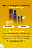 Kuru Ciltler için Arı Poleni İçerikli Besleyici Cilt Bakım Seti Bee Pollen Renew Skin Care Set (2)