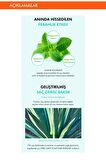 Nane Kompleksi İçeren Kepek Karşıtı  Saç Sirkesi 200ml Mint Scalp Hair Vinegar